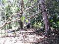 28 - Jardin des eaux 004